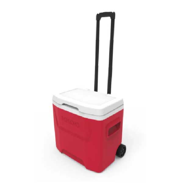 igloo rolling cooler 30