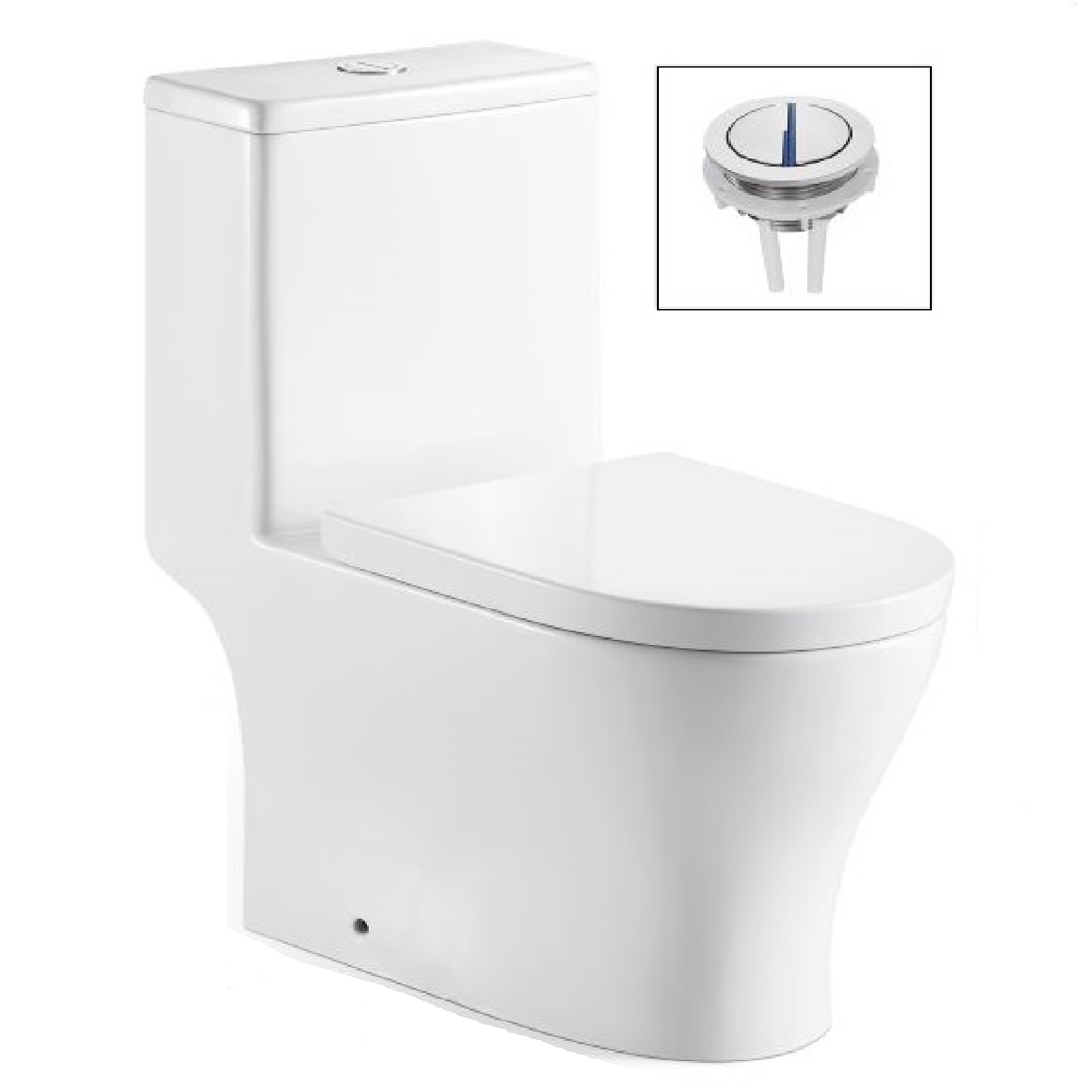 VASILE V596 One-Piece Closet Dual Flush Toilet Bowl