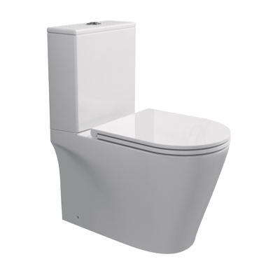 RIGEL NR-WB9030F WHIRLWASH Toilet Bowl