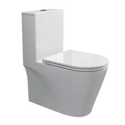 RIGEL Rimless WHIRLWASH ONE-PIECE Toilet Bowl WO8056F