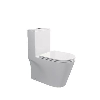 RIGEL Rimless WHIRLWASH ONE-PIECE Toilet Bowl WO8056F