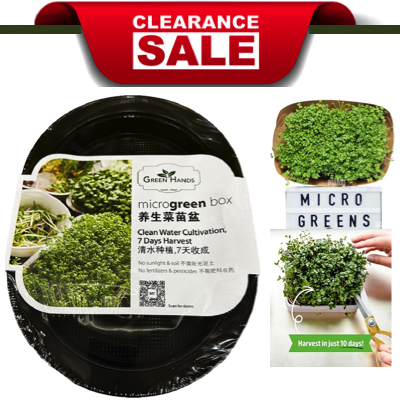 Green Hands MT-3003 Microgreen Box