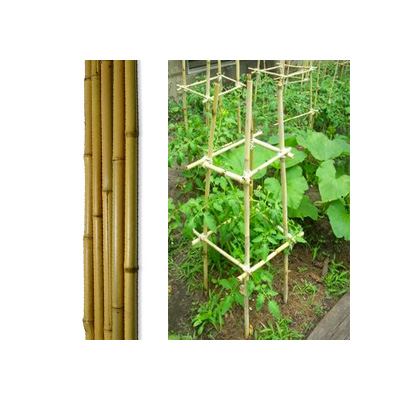 Bare Bamboo Poles 8FT, 5PC/Pk
