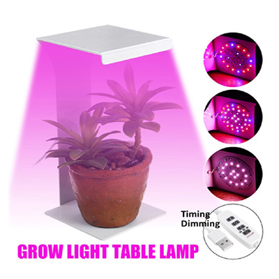 HardwareCity Grow Light Table Lamp For Small Pot