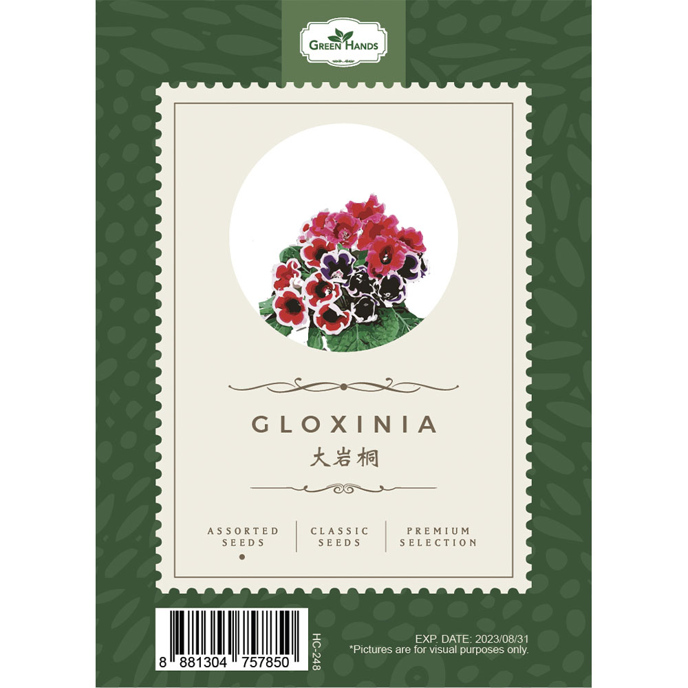 Green Hands Assorted Seeds - Gloxinia