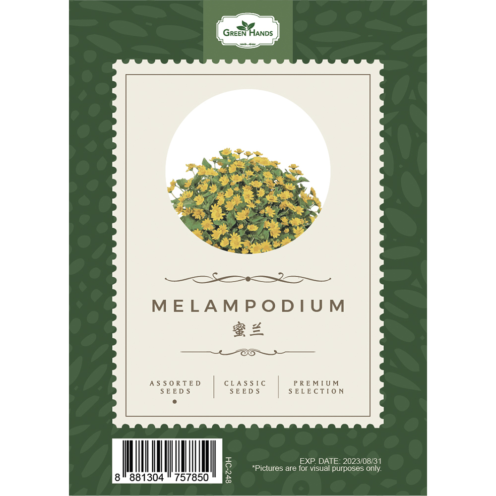 Green Hands Assorted Seeds - Melampodium