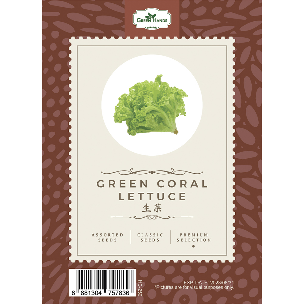 Green Hands Assorted Seeds - Green Coral Lettuce